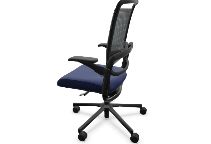 xenium mesh.png