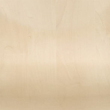 H1733 Mainau Birch.jpg