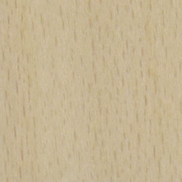 1.007 Beech.jpg