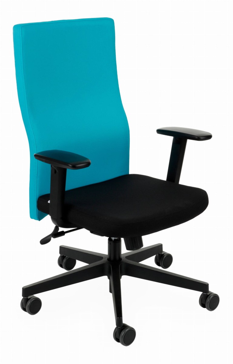 team-plus-black-backrest-note-n10-seat-note-n01-1.jpg