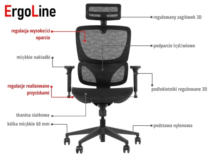 ENS1-M-M-H-PL.jpg