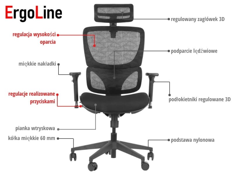 ENS1-F-M-H-PL.jpg
