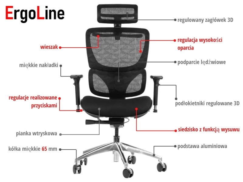 ergo opis.jpg