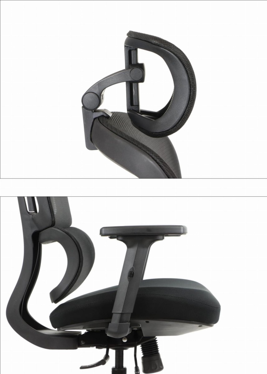 trex za po 22.jpeg