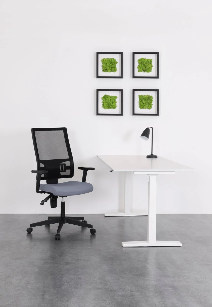 taktik-eup-nowy-styl-home-office-21964_1104x1600.jpg